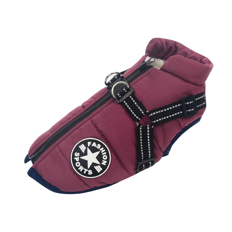 3 in 1 Winter Jacket for Dogs