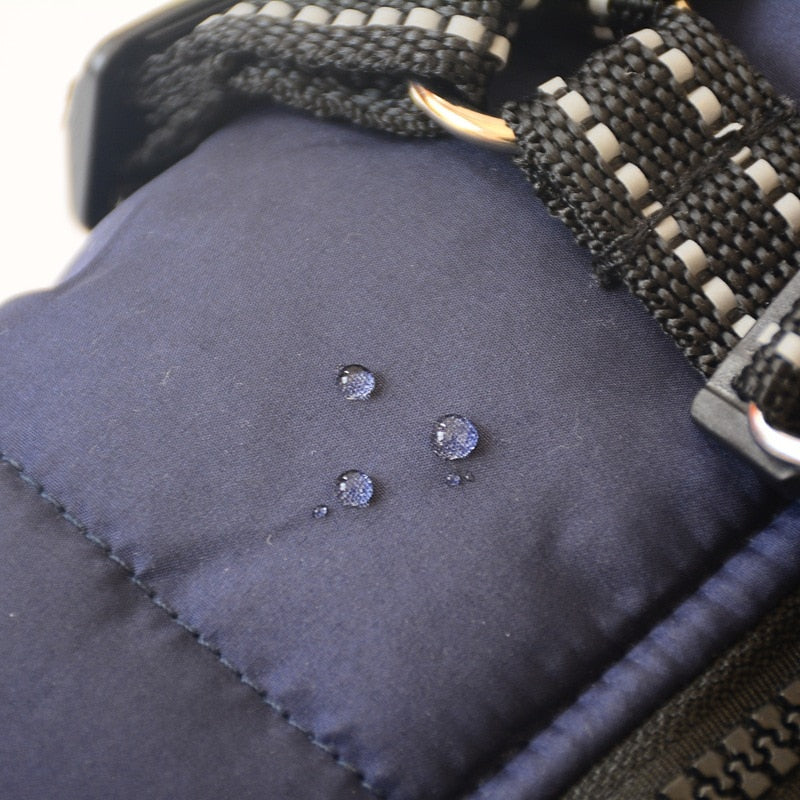 3 in 1 Winter Jacket for Dogs