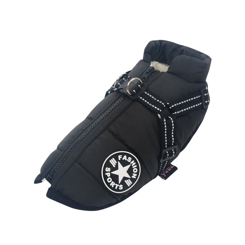 3 in 1 Winter Jacket for Dogs