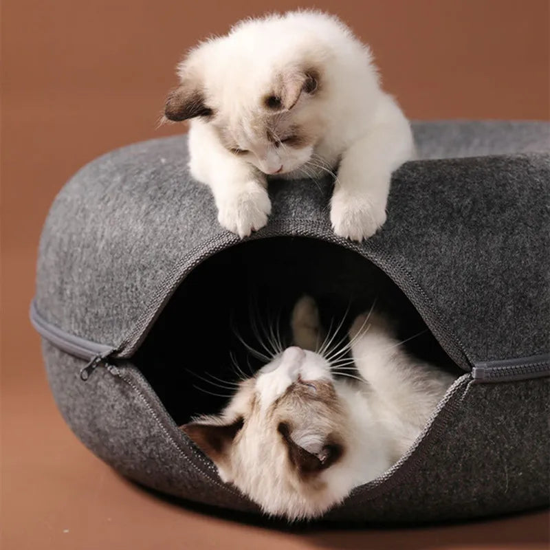Cat Peekaboo Cave