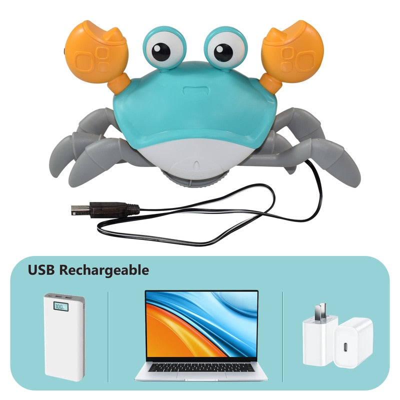 Crawling Crab - Interactive Toy