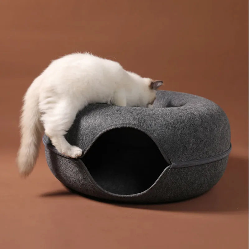Cat Peekaboo Cave