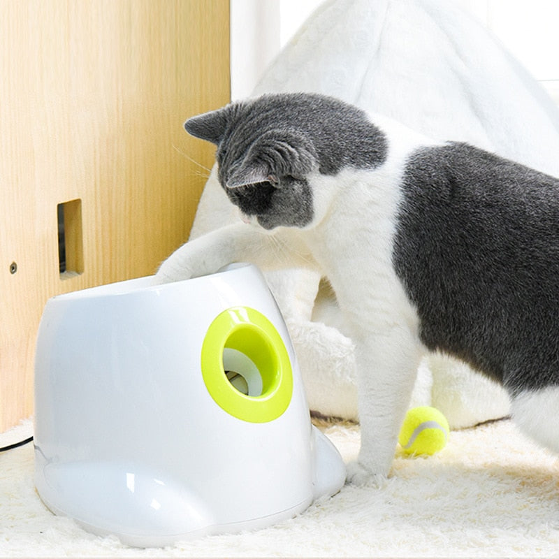 Automatic Tennis Ball Launcher