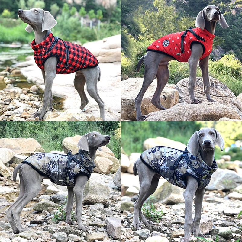 3 in 1 Winter Jacket for Dogs