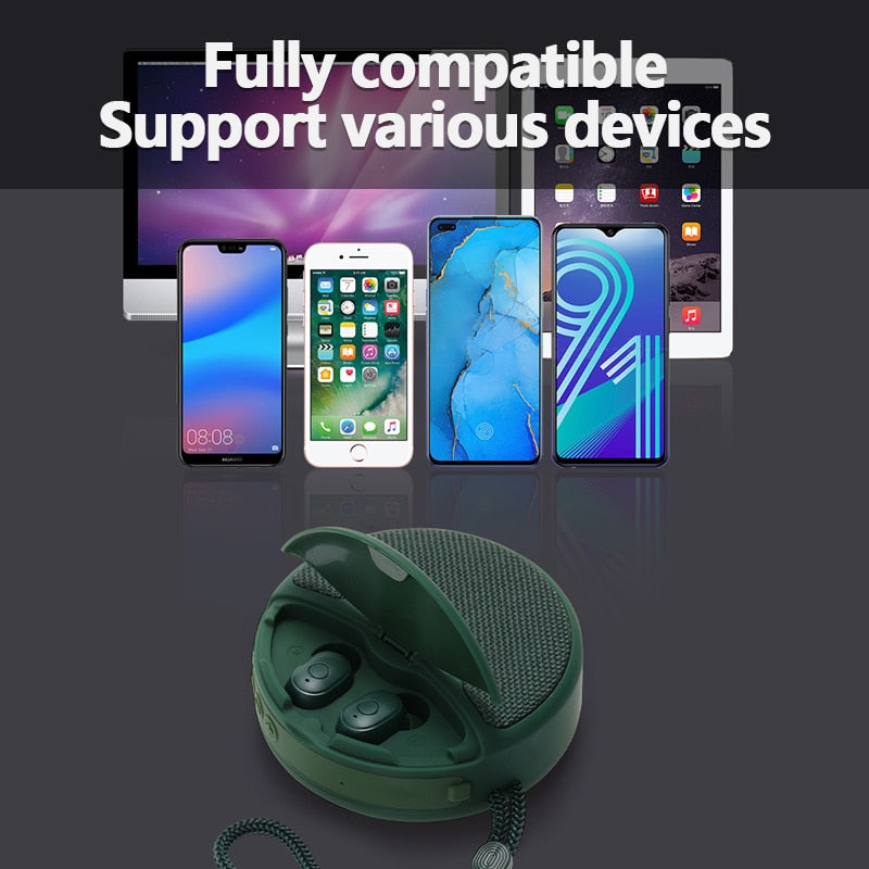 Portable Speaker and Earbuds