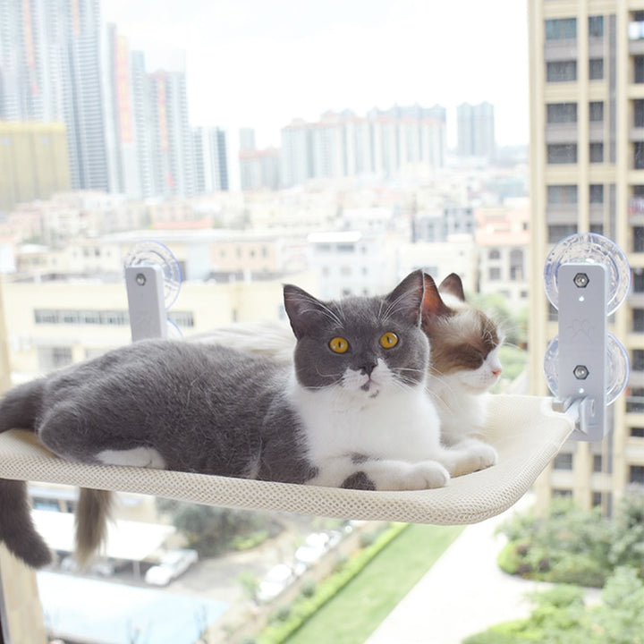 Cozy Cat Hammock