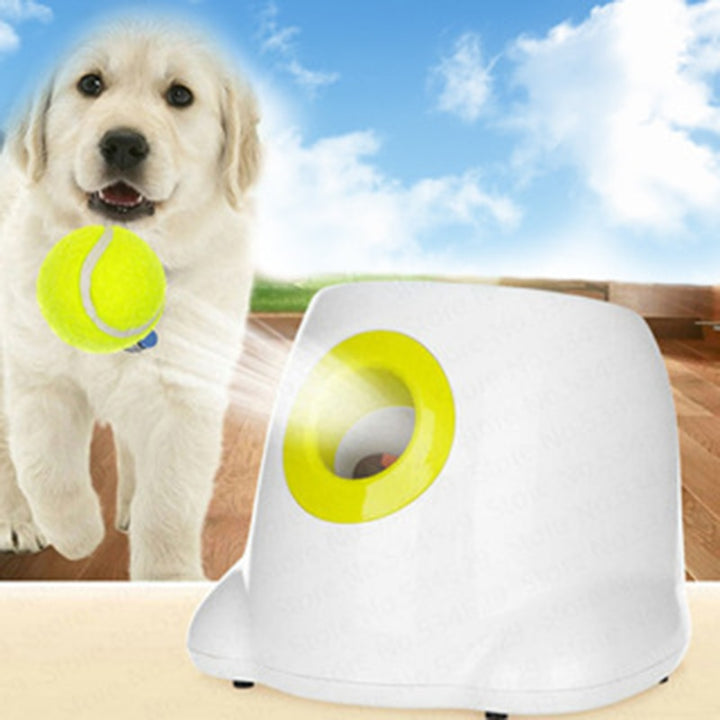 Automatic Tennis Ball Launcher